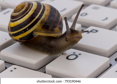 Slow computer Images, Stock Photos u0026 Vectors  Shutterstock