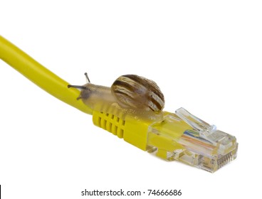 Slow Internet Like A Snail