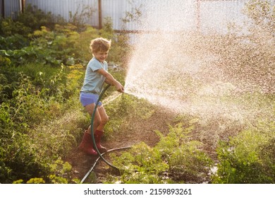 Slow life. Enjoying the little things. Summer holiday. Happy kid playing with garden hose and having fun with spray of water in sunny backyard. Summer time. Kid Boy helps water garden with hose