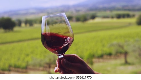 Slow Motion Of Middle Aged Sommelier Mix And Controls The Color Of Red Wine Poured In Transparent Glass On A Scenic Vineyard Panoramic Background (close Up)