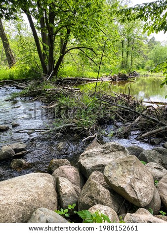 Slow moving creek with beaver dam and rocks