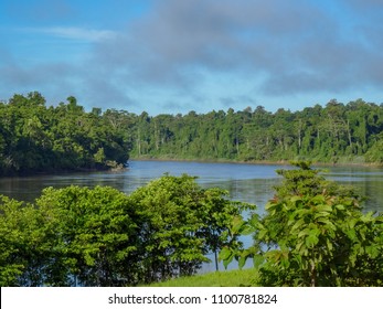 A Slow Moving River In The South Of Papua New Guinea Running Through Rainforest.