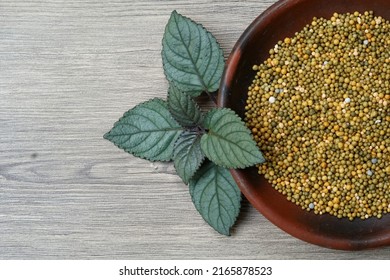 Slow Release Plant Fertilizer On The Earthenware Plate