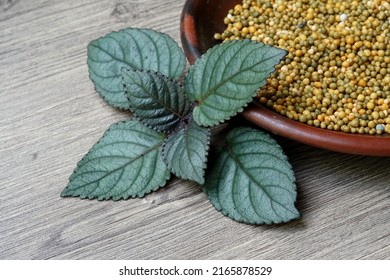 Slow Release Plant Fertilizer On The Earthenware Plate