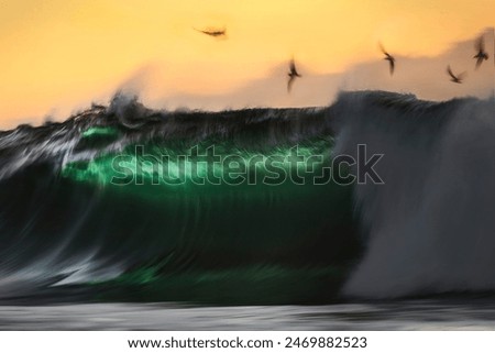 Similar – Image, Stock Photo SUNRISE SURF New Zealand