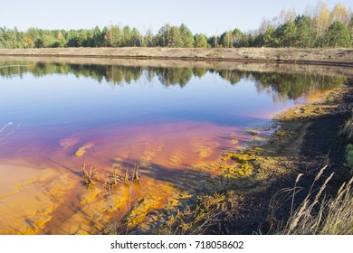 Sludge Accumulator. Oil Sludge On The Water Surface And At The Shore.
