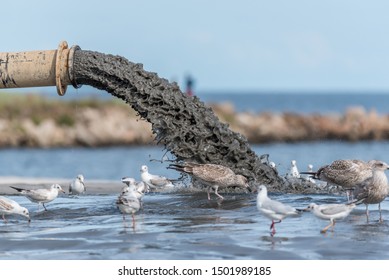 Sludge Pollution Pouring into the Baltic Sea and Seagulls - Shutterstock ID 1501989185
