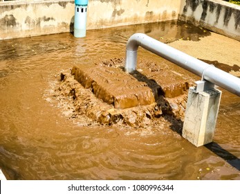 Sludge Treatment In Wastewater Management System, Flowing Brown Smelly Liquid And Drying In Sludge Bed, Made It For Fertilization Can Use In Agriculture Field.