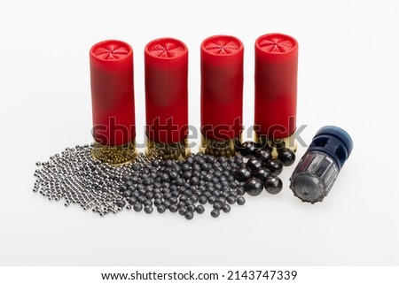 Slug , Difference size of shot inside the 12 gauge shotgun shell bullets , Gun shooting game