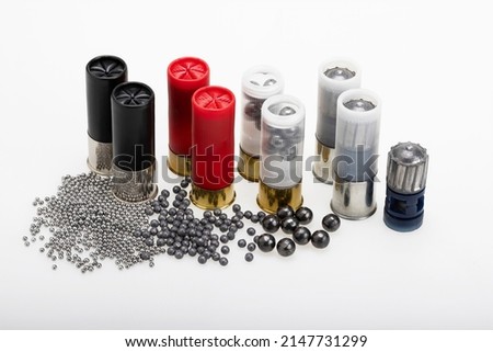 Slug , Difference size of shot inside the 12 gauge shotgun shell bullets , Gun shooting game