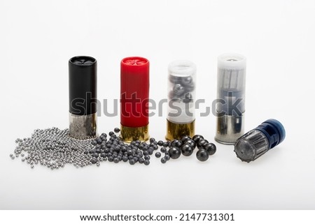 Slug , Difference size of shot inside the 12 gauge shotgun shell bullets , Gun shooting game