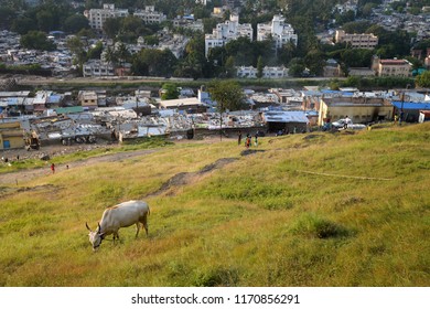 Slums As Seen From Parvati Hill In Pune, India