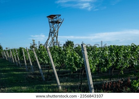 Slunecna lookout tower near the Czech town of Velke Pavlovice. vineyards in southern moravia