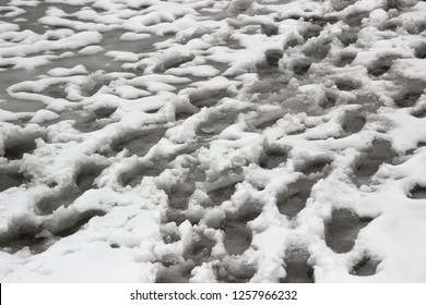 Slush On The Pedestrian Road, Melted Snow, Traces, Texture, Background