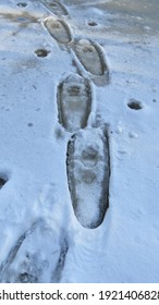 Slushy Snow Shoe Tracks Curve Around Winter Pond