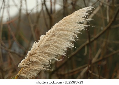 Slushy Textures Of A Cold Winter's Landscape