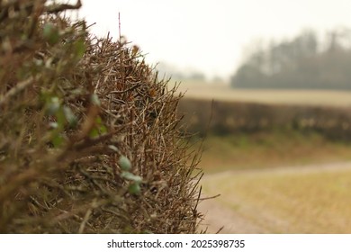 Slushy Textures Of A Cold Winter's Landscape