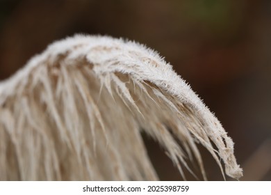 Slushy Textures Of A Cold Winter's Landscape