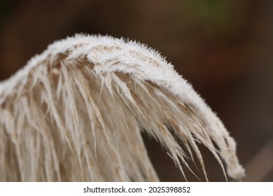 Slushy Textures Of A Cold Winter's Landscape