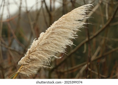 Slushy Textures Of A Cold Winter's Landscape