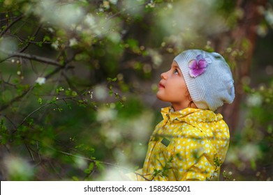 Small 5 Years Old Girl Looking Up For Blooming Tree. Child In Yellow Coat And White Hat Looks On Flowers In Blossom Garden In Spring Time. Allergy Season. Space For Text.