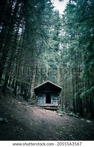 Small abandoned wooden cabin in a deep dark fir forest