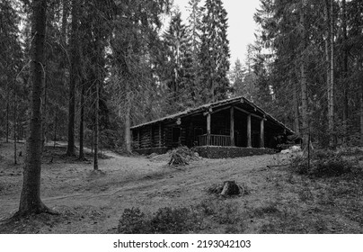 Small Abandoned Wooden Cottage In A Deep Dark Pine Forest