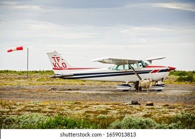 Small Airplane On A Dirt Airstrip In Iceland With A Sheep In Front. Cessna 172. (Hofn, Iceland - 03/06/2019)