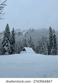 Small alpine cabin surrounded by snow covered pine trees in a peaceful winter mountain landscape.