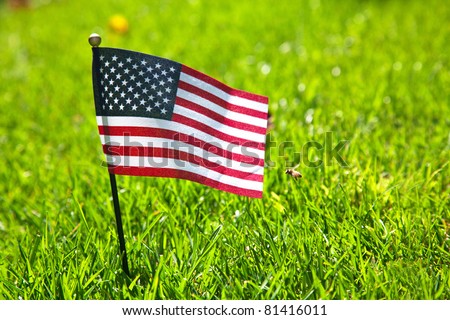 Small american flag on the green grass