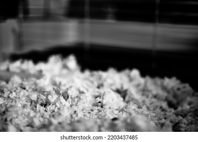 Small Animal Shredded Bedding Material Inside A Cage. 