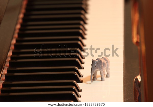 Small Animal Toys On Piano Keyboard Stock Photo 1855759570 | Shutterstock