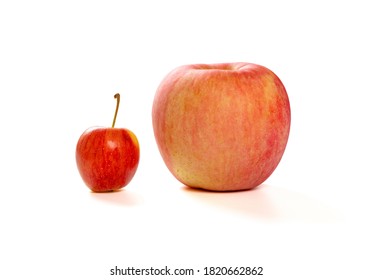 A Small Apple And A Giant Size One On A White Background