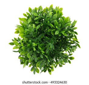 Small Artificial Tree In A Pot Isolated In White Background. Concept Image For Interior Design And Decoration Of Home And Office., Top View