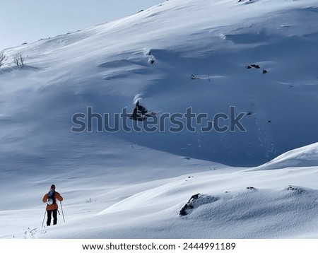 Small avalanche and a backcountry skiier on its way up the mountain