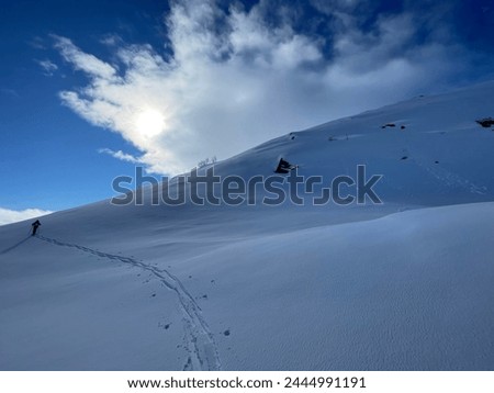 Small avalanche and a backcountry skiier on its way up the mountain