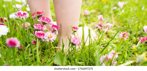 Small Baby Bare Legs,feet Of Little Girl In Grass With Flowers Of Daisies.Summer Concept.Kids Walk In Garden,field,meadow.Quarantine End,coronavirus Covid-19.Staycation In Vacation Home,country House.