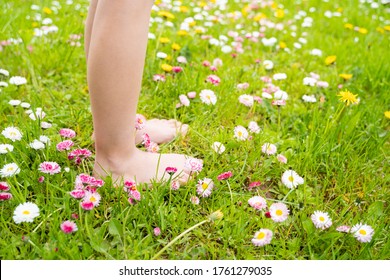 Small baby bare legs,feet of little girl in grass with flowers of daisies.Summer concept.Kids walk in garden,field,meadow.Quarantine end,coronavirus covid-19.Staycation in vacation home,country house.