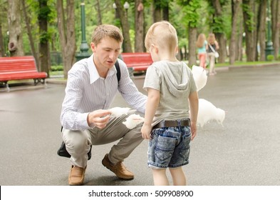 Small baby boy is eating cotton candy in the park with his father