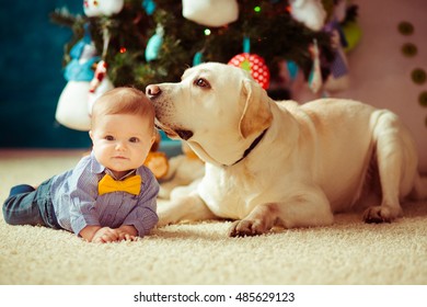 The Small Baby With Dog Lie On The Carpet