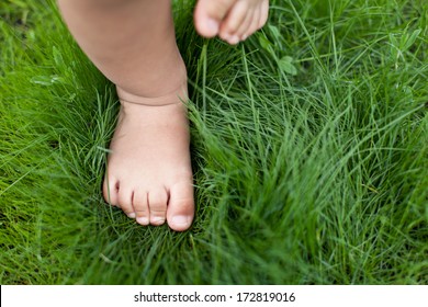 Small baby feet on the green grass.
