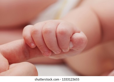 Small baby hand hold father finger close up view