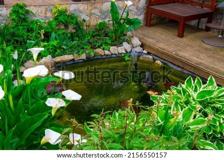 Small backyard pond decoration. Artificial pond in garden. Pool aquatic plants. Pond border decoration. Summer.