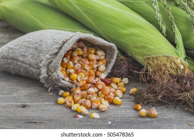 Small Bag Of Corn Seeds And Corn On The Cob