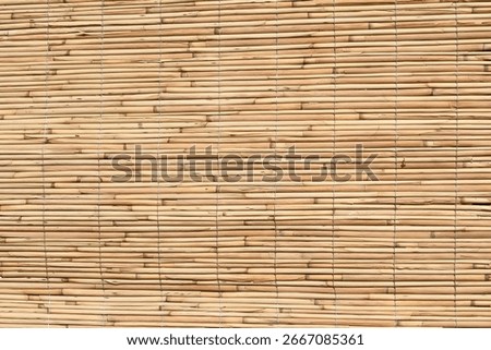 Small bamboo lined with a rope. Background and texture