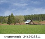 A small barn stands in a grassy field along with trees in northeast Washington.