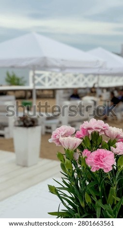 Small beach bar table on the shore of a lake, relaxed summer atmosphere with soft natural light