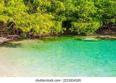 Small Beautiful Cenote Cave With River And Turquoise Blue Water At Punta Esmeralda Beach In Playa Del Carmen Quintana Roo Mexico.