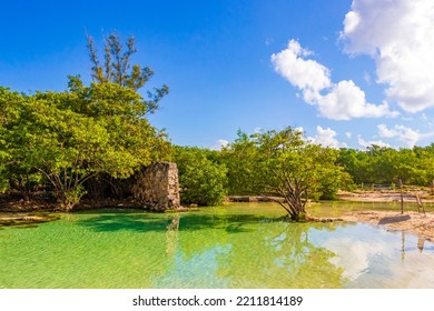 Small Beautiful Cenote Cave With River And Turquoise Blue Water At Punta Esmeralda Beach In Playa Del Carmen Quintana Roo Mexico.