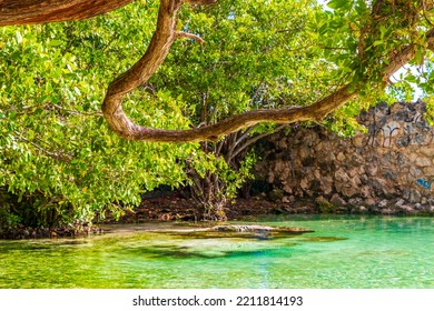 Small Beautiful Cenote Cave With River And Turquoise Blue Water At Punta Esmeralda Beach In Playa Del Carmen Quintana Roo Mexico.